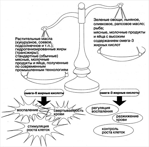 Дисбаланс между Омега-3 и Омега-6