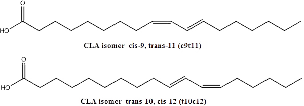 Конъюгированная линолевая кислота