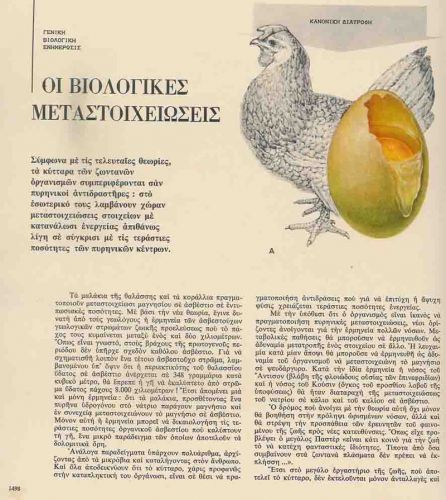 kervranchicken2