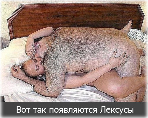 Вот так появляются Лексусы!
