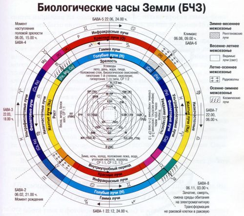 Биологические часы Земли